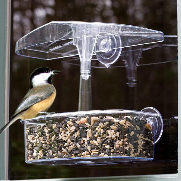 Droll Yankees OWF Observer Window Bird Feeder, UV-Stabilized Polycarb