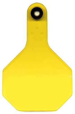 Y-Tex 7713000 All American 3-Star Blank Tag, Medium, Yellow (25-Pack)