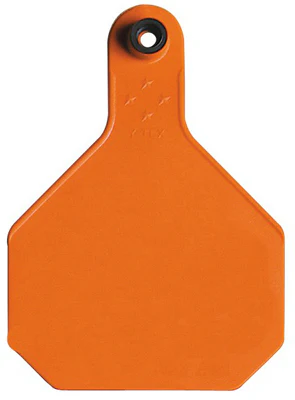 Y-Tex 7903000 All American Blank Tag, Orange, 25 Pack, Large, 2 Piece