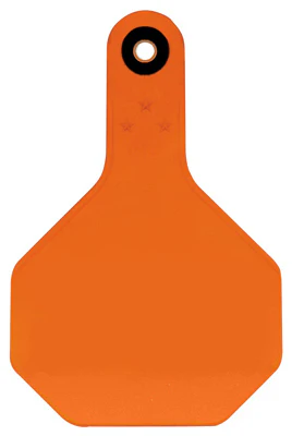 Y Tex 7703000 All American 3 Star Blank Tag, Medium, Orange (25-Pack)