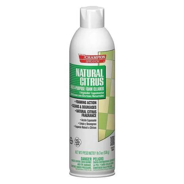 Aerosol Foam Cleaner Citrus, 19 oz. Aerosol Can, Citrus, 12 PK